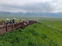 The Beauty and the Queue at Sky Grassland: Guides Need Smart Scheduling