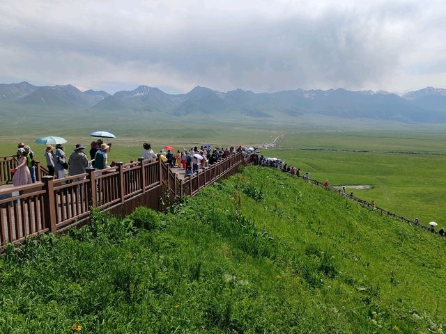 The Beauty and the Queue at Sky Grassland: Guides Need Smart Scheduling