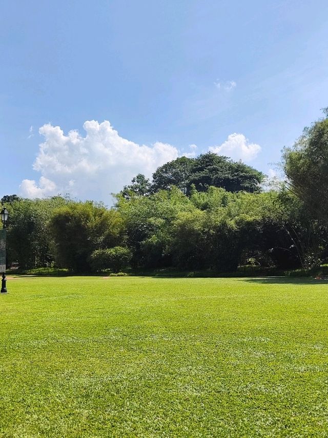 Botanic Garden in Singapore