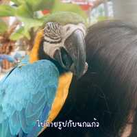 พาเดินเล่นสวนนงนุช ดูไดโนเสาร์ ชมนกแก้ว