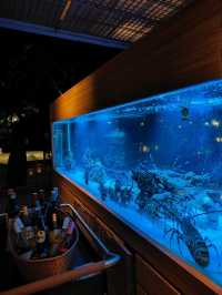 From Shoreline to Social Spark: A Night at Ikan