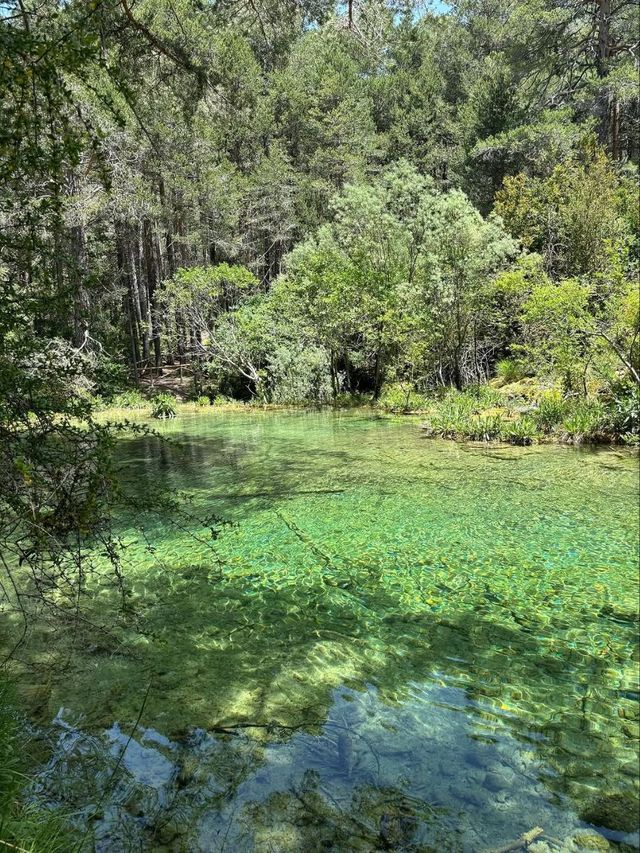 Waterfalls, Moss, and Chill Forest Vibes at Río Cuervo