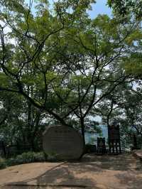 Diaoyu Fortress Is History with a View and a Workout