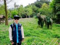สวนสัตว์ไทเป Taipei Zoo 