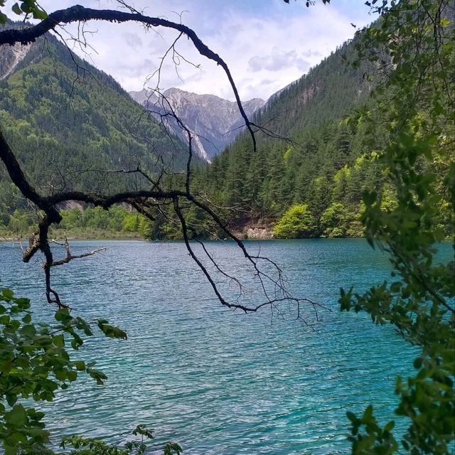 Mirror Lake in Sichuan, Like Walking Into a Postcard