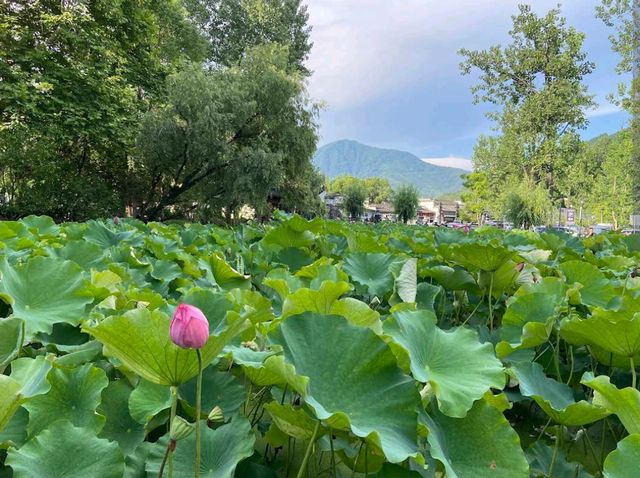 Hongcun Village (Anhui)