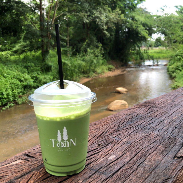 คาเฟ่สุดชิค มัทฉะดีมาก