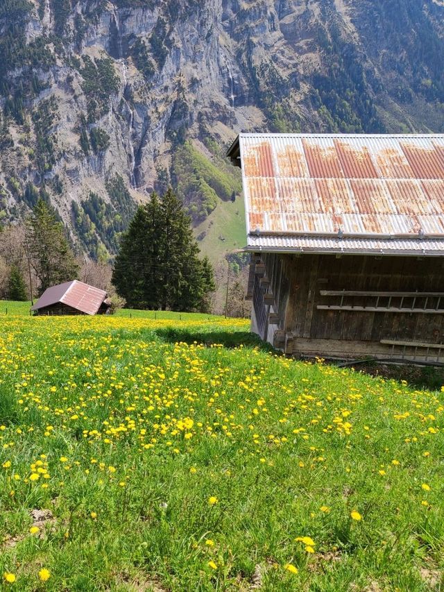 😇Mürren, beautiful like heaven