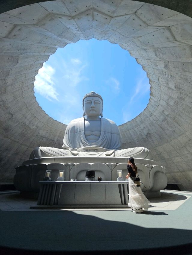 ラベンダーの丘から顔を出す、天空の頭大仏。札幌の新たな瞑想空間🪷💜