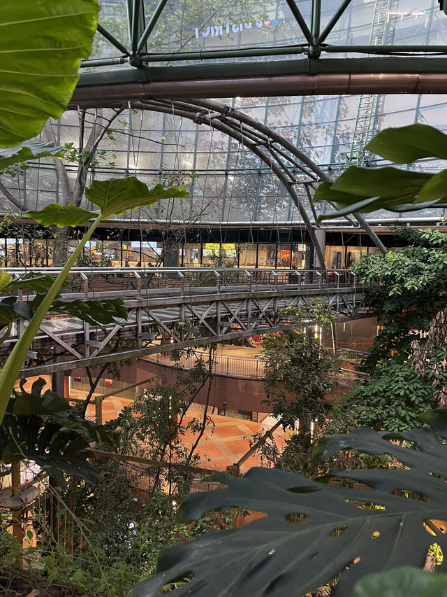 Treetop Adventure @ Rainforest PJ: Fun Among the Trees