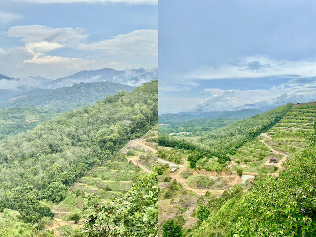 🌲 Nature’s Palette Comes Alive at Ethos Forest — Just Beyond Bentong 🌄