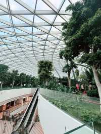 ✨A Layover That Felt Like a Vacation – My Amazing Experience at Changi Airport ✨