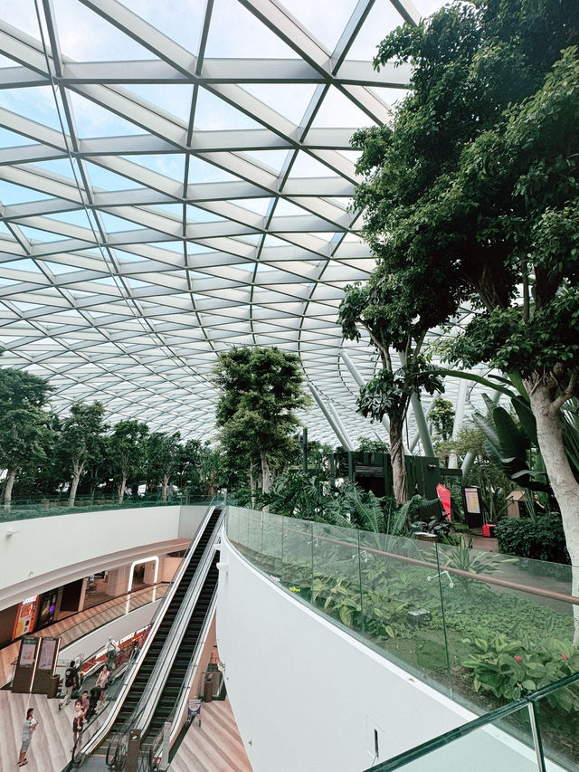 ✨A Layover That Felt Like a Vacation – My Amazing Experience at Changi Airport ✨