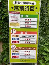 來北海道大學蹭飯(誤)及欣賞銀杏大道