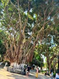Coastal Charm and Cultural Vibrancy
