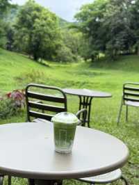 เที่ยวเชียงใหม่ฟิลธรรมชาติ Rachel coffee&community