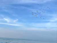 🐢 浮潛天堂就在小琉球｜中澳沙灘 Zhongao Beach，遇見海龜的第一站！