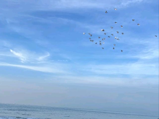 🐢 浮潛天堂就在小琉球｜中澳沙灘 Zhongao Beach，遇見海龜的第一站！
