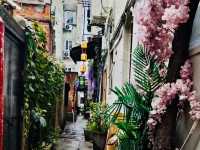A Labyrinthine Alleyway Network of Artistic Discovery