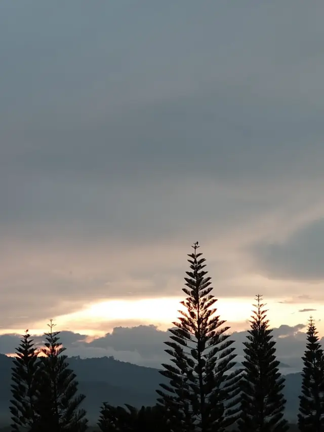 What to do in Khaoyai ⛰️🏔️