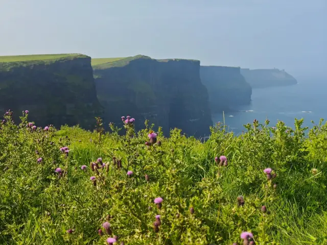 Ocean Marvels—Azure Coast National Park