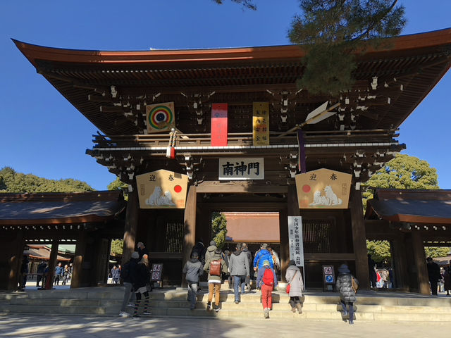 在城市森林中尋求心靈平靜：東京明治神宮遊記