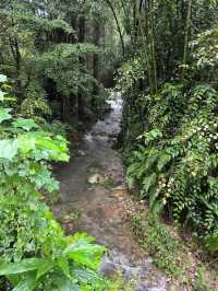 Panda Valley Dujiangyan