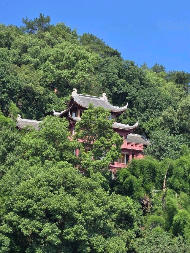 ⛴️江上覽佛的獨特體驗✨️ ⛴️江上覽佛的獨特體驗✨️
