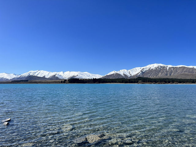 紐西蘭地來景點—🌊 Lake Tekapo｜藍得不真實的人間仙境