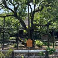 Tokyo｜Keio Mogusaen – Edo Garden Charm Through the Seasons 🌸🍁