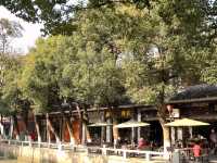Timeless Frames in Liantang