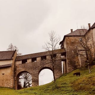 🌟 Schloss Hollenburg Solo Escape: Austria’s Riverside Castle Retreat! #SoloInAustria 