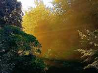 Boggart Hole Clough – Legends and Landscapes