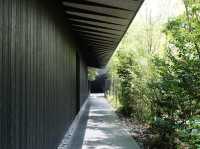 當建築成為藝術的框景：由布院 COMICO ART MUSEUM 的沉浸式美學之旅