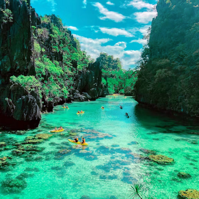 自然体験🌊🏝️