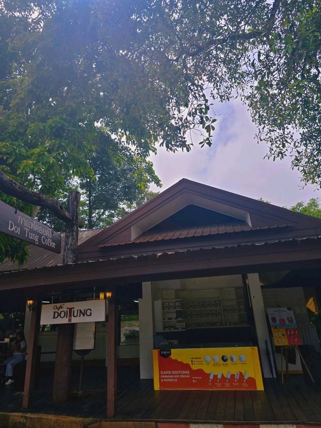 📍 ครัวตำหนัก ดอยตุง จ.เชียงราย 🌿✨