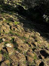 Organ Pipes National Park: Australia’s Basalt Wonder