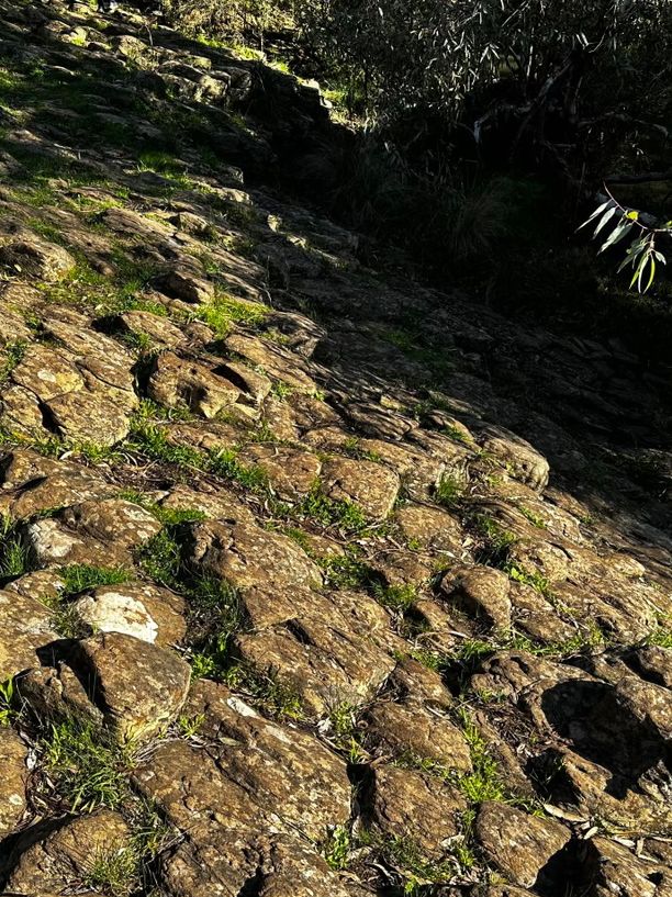 Organ Pipes National Park: Australia’s Basalt Wonder