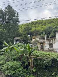 Trekking in beautiful Moganshan mountain 莫干山