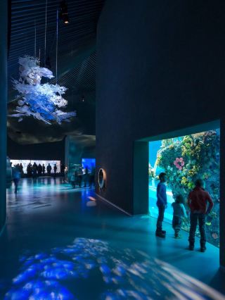 Discovering Denmark: A Cultural and Scenic Journey – Copenhagen 