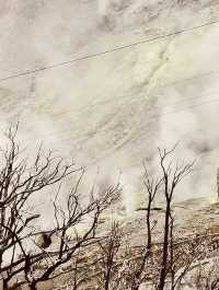 🌋「冒著煙霧的火山谷，探索地熱的神秘力量。」