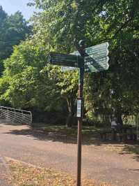 Bute Park (Cardiff)