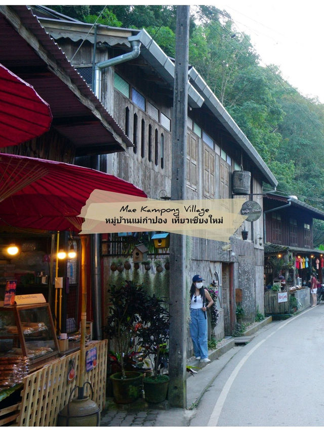🌳 : หมู่บ้านแม่กำปอง เที่ยวแม่ออน เชียงใหม่