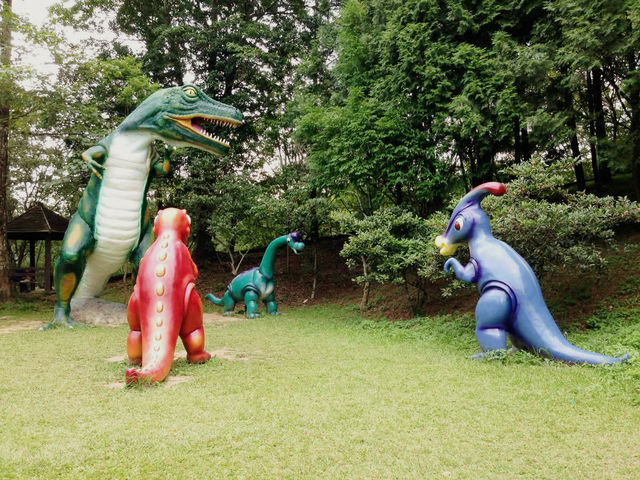 🌲 東勢林場 - 台中森林療癒系遊樂區
