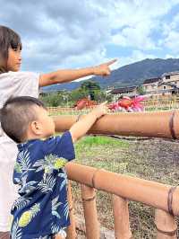 🌿探訪雲水謠古鎮｜古榕守護·情人橋畔·土樓記憶