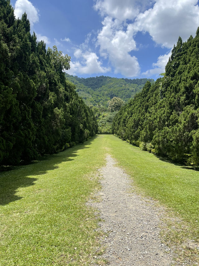 綠蔭之間——清邁 Cypress Lanes 的靜謐漫步