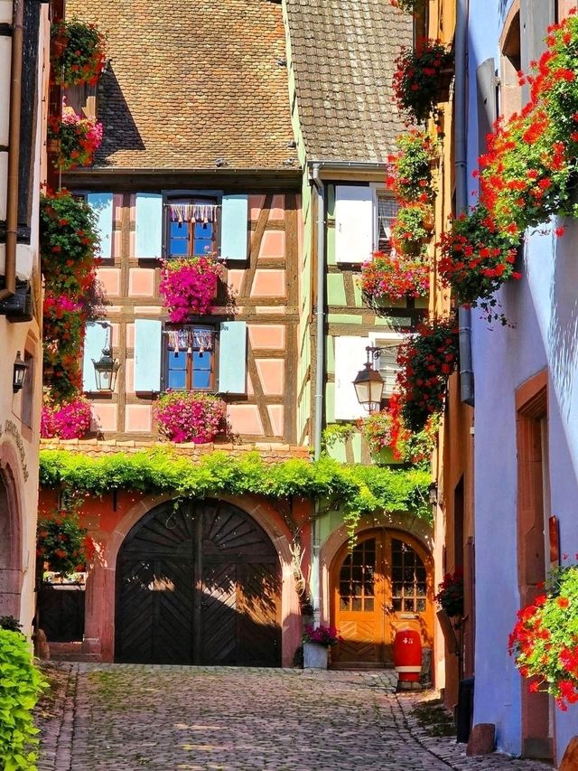 Enchanting Riquewihr: A Timeless Alsatian Gem ✨