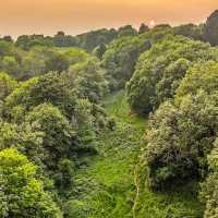 Barley Valley Nature Reserve – Hidden Hills & Meadows Above Exeter