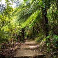 Cullen Point Lookout – Pelorus & Mahau Sound Panorama