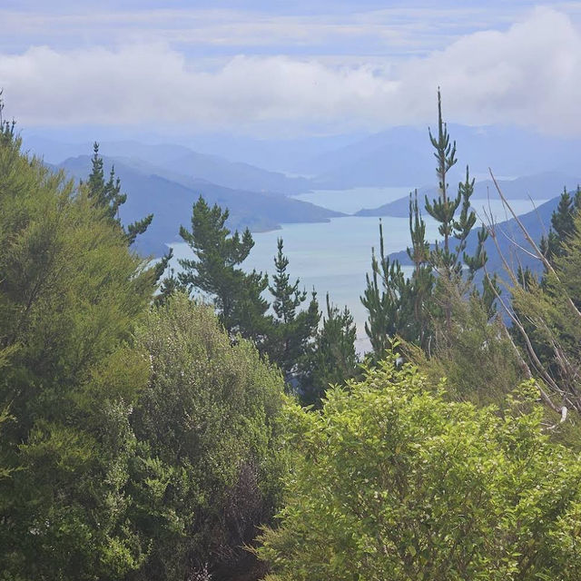 Eatwell Lookout – Panorama Point over Kenepuru & Queen Charlotte Sounds